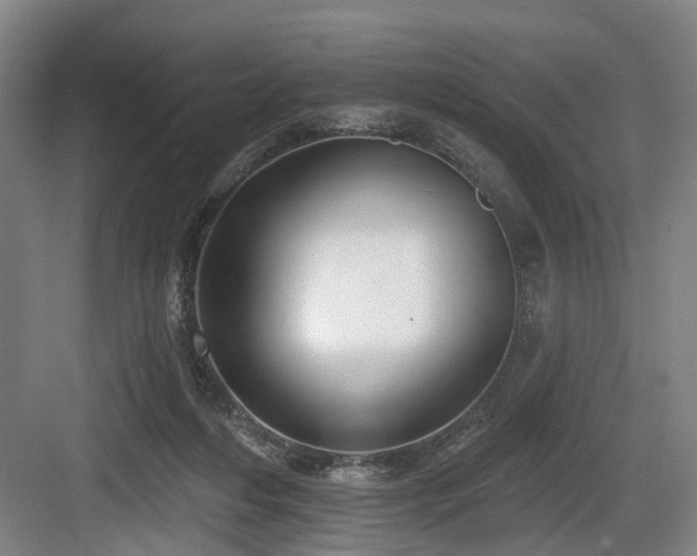 X0000083990216200702161141