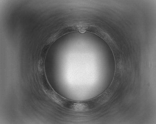 X0000083990218200702161141