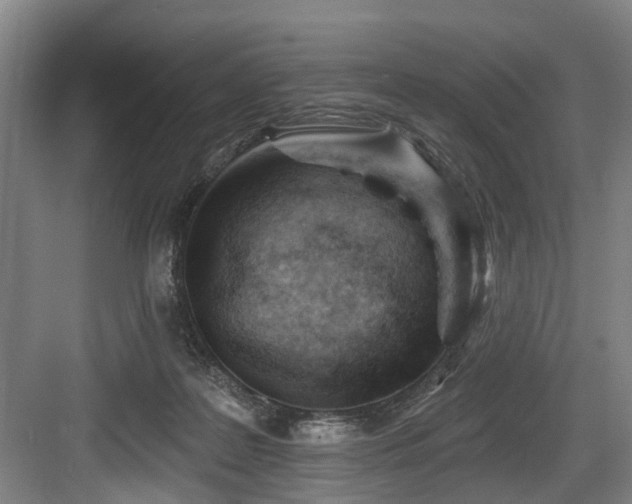 X0000083990219200702161141