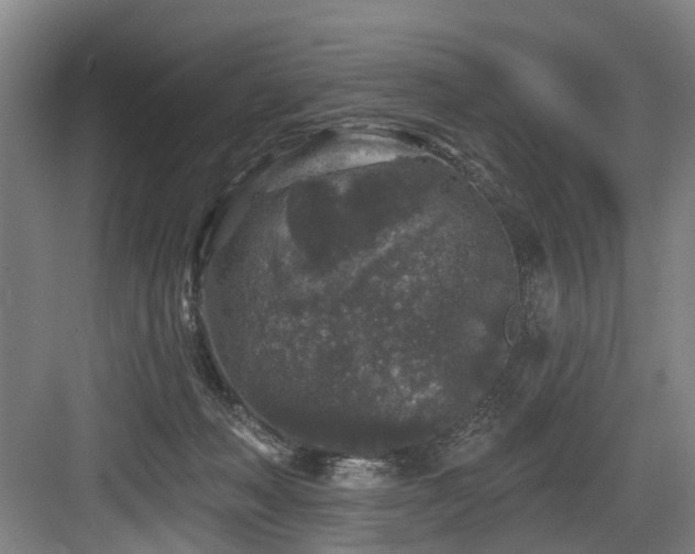 X0000083990222200702161141