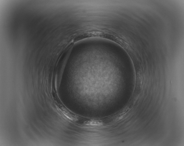 X0000083990223200702161141