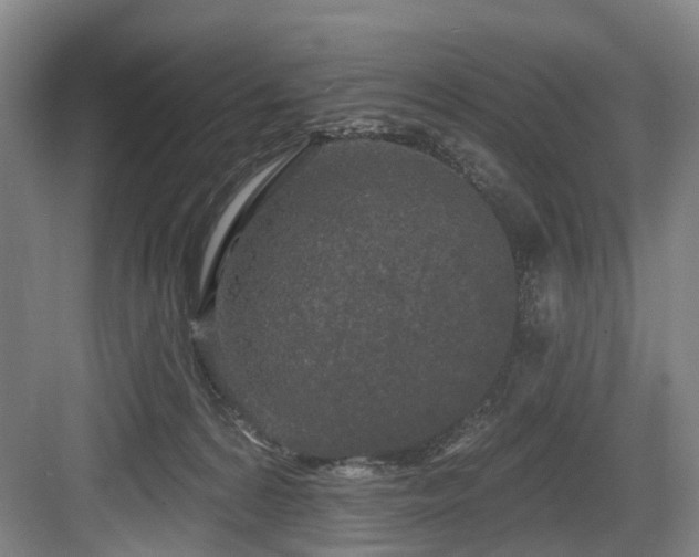 X0000083990224200702161141