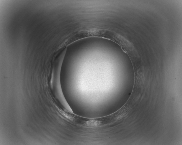 X0000083990225200702161141