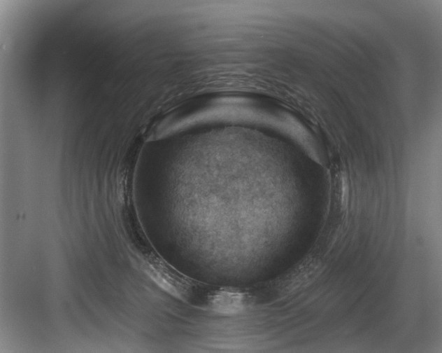 X0000083990227200702161141