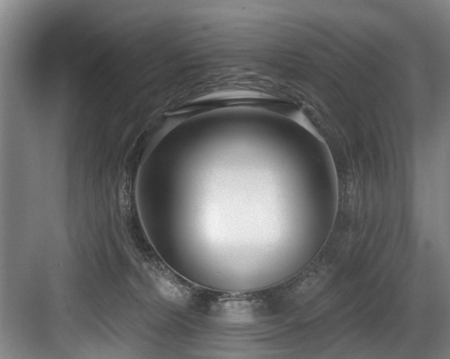 X0000083990228200702161141