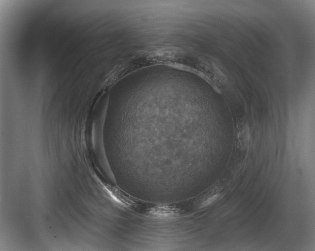 X0000083990231200702161140