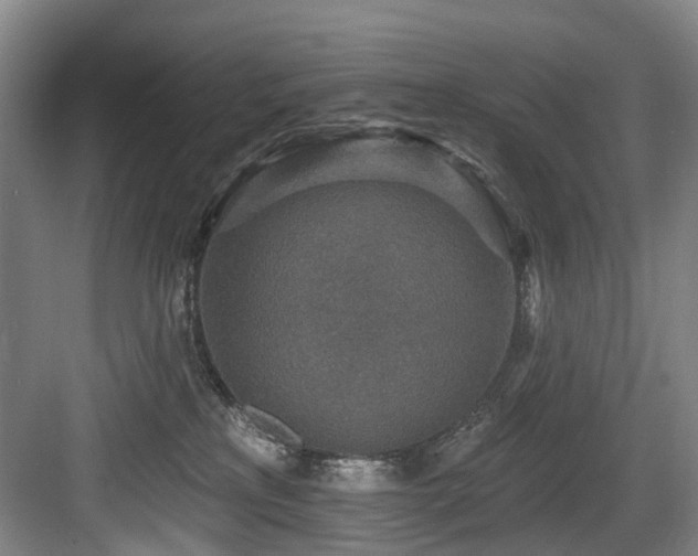 X0000083990233200702161140