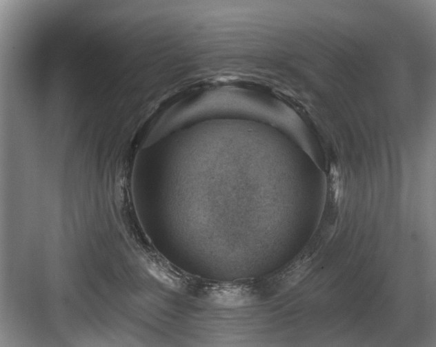 X0000083990235200702161140