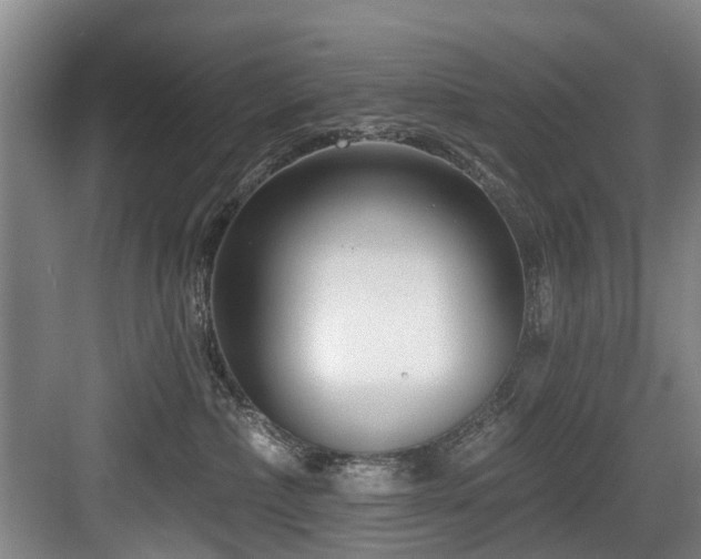 X0000083990236200702161140