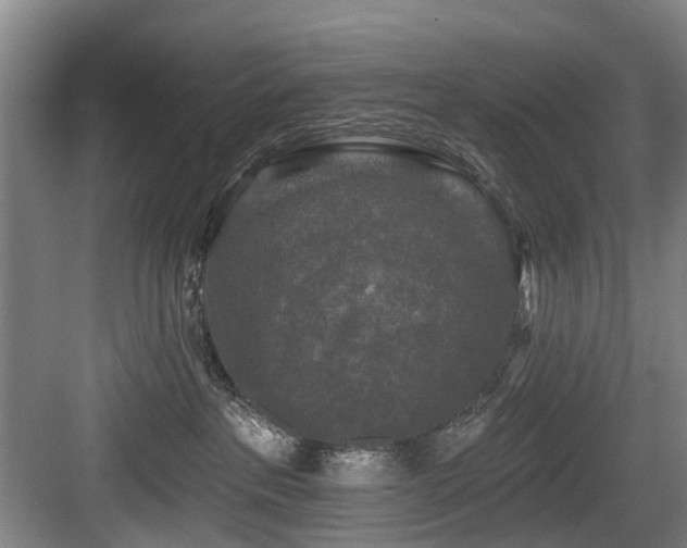 X0000083990237200702161140