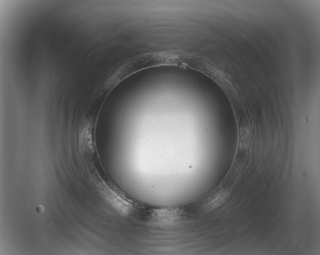 X0000083990238200702161140