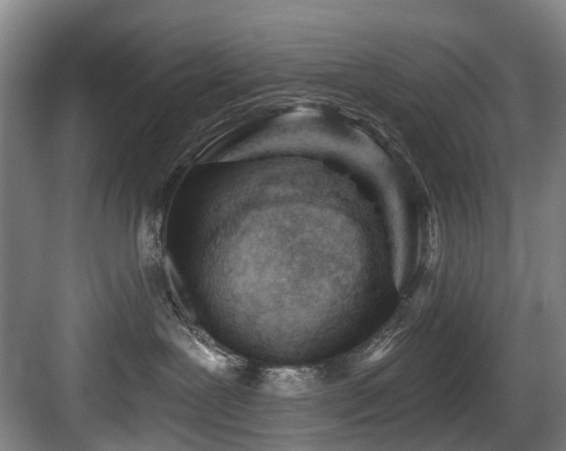 X0000083990239200702161140