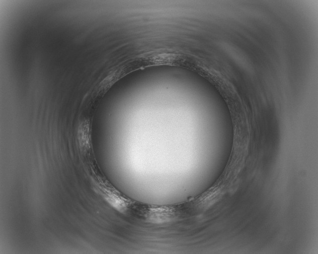 X0000083990240200702161140