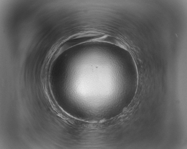 X0000083990241200702161140