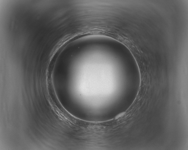 X0000083990242200702161140