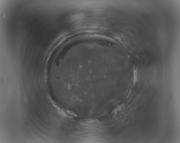 X0000083990243200702161140