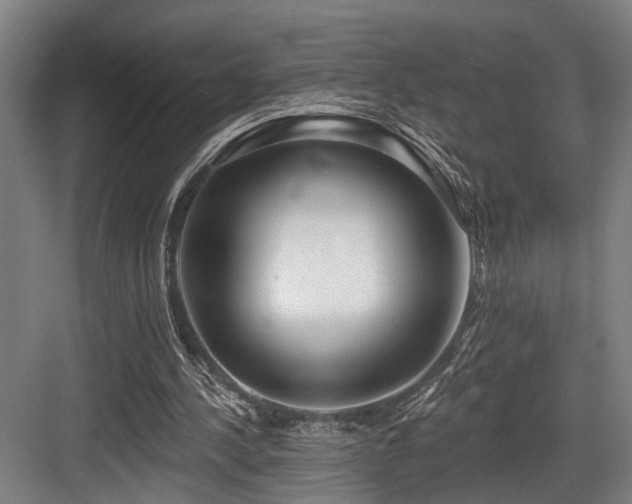 X0000083990244200702161140