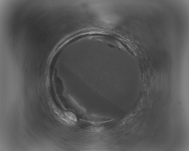 X0000083990247200702161140