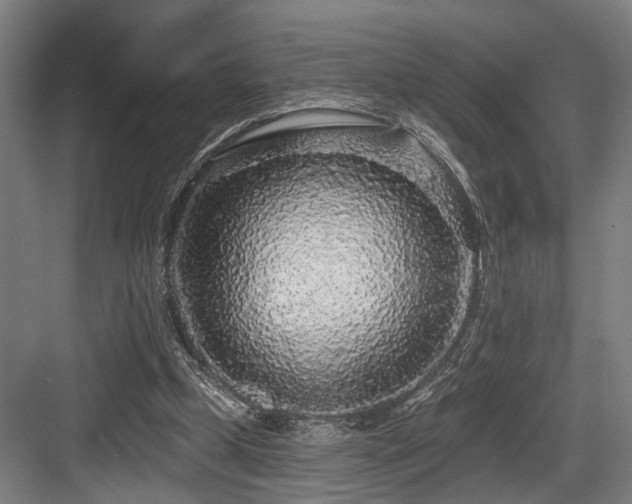 X0000083990249200702161140