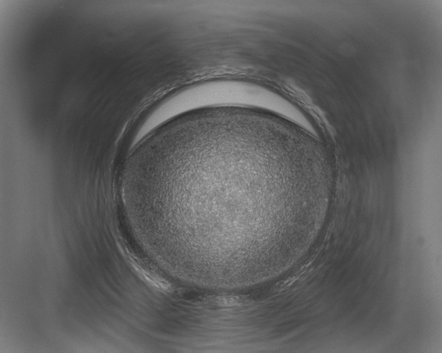 X0000083990250200702161140