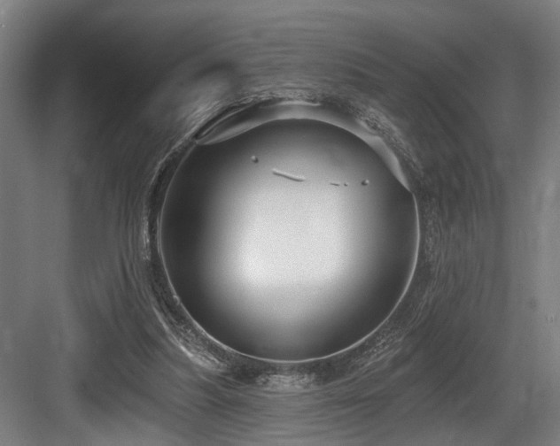 X0000083990251200702161140