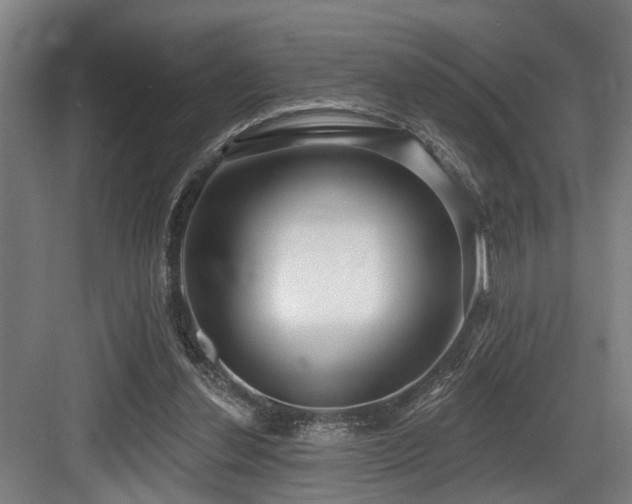 X0000083990252200702161140