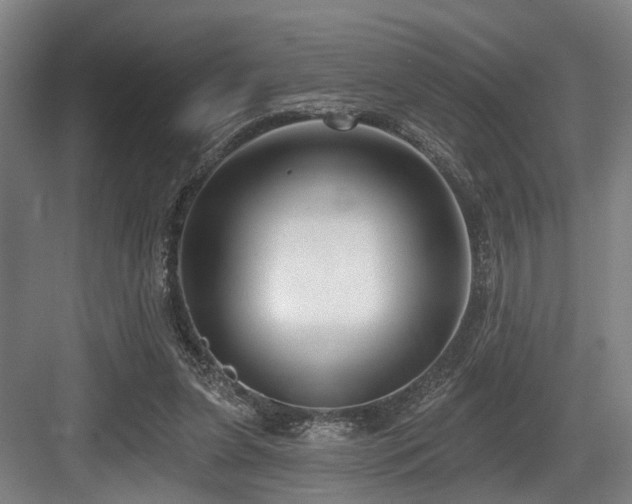 X0000083990255200702161140