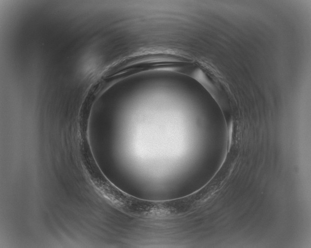 X0000083990256200702161140