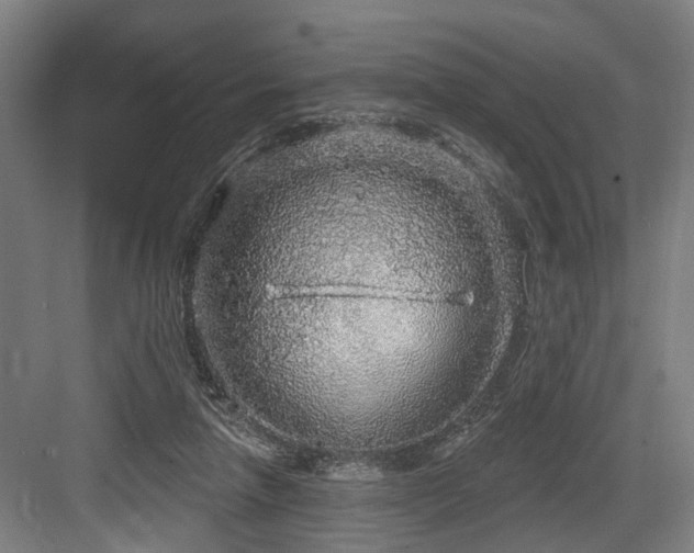 X0000083990258200702161140