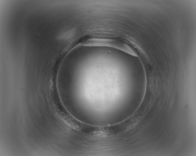 X0000083990259200702161140