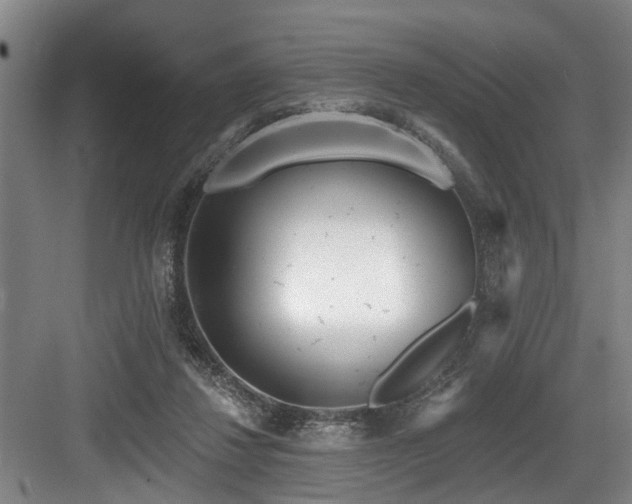 X0000083990260200702161140