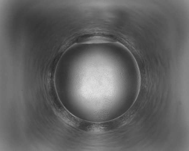 X0000083990263200702161140