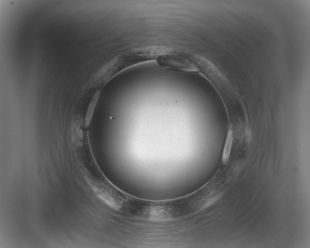 X0000083990264200702161140