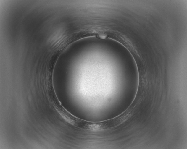 X0000083990265200702161140