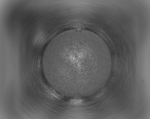 X0000083990266200702161140