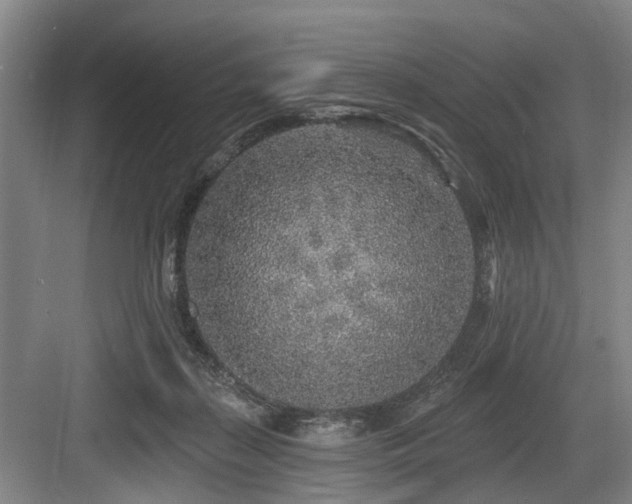 X0000083990267200702161140