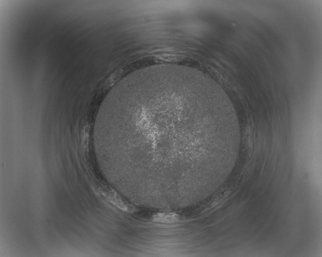 X0000083990271200702161140