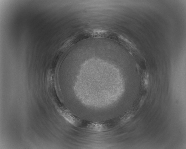 X0000083990276200702161140