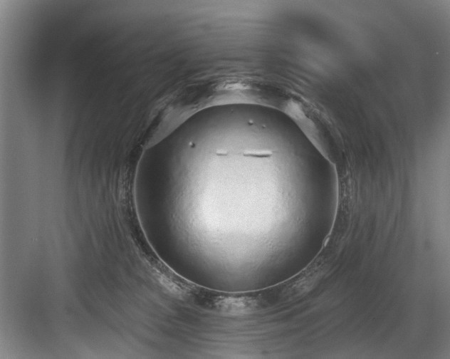 X0000083990277200702161140