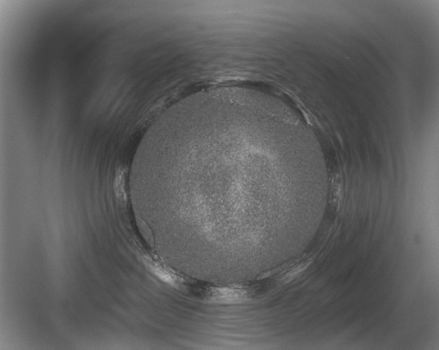 X0000083990286200702161140