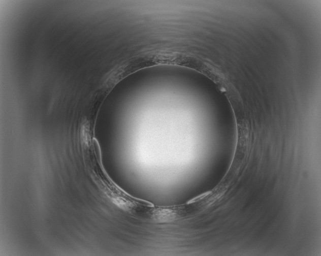 X0000083990287200702161140