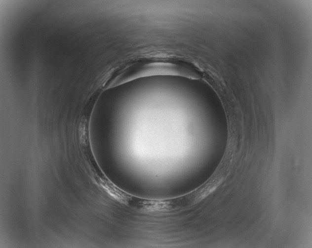 X0000083990288200702161140