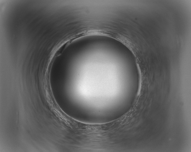 X0000083990289200702161139