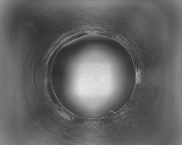 X0000083990291200702161139