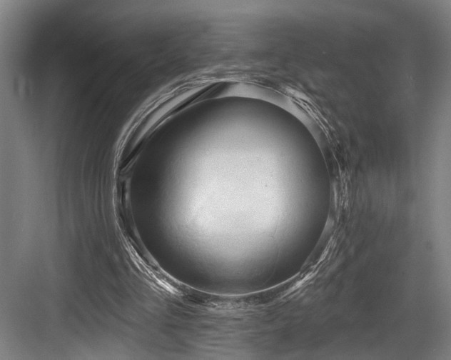 X0000083990293200702161139