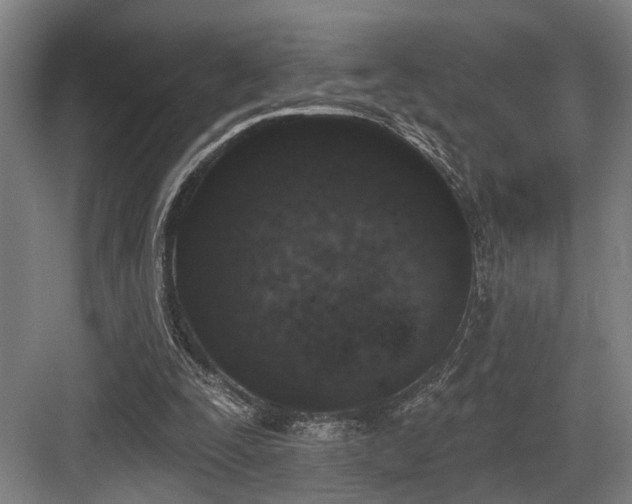 X0000083990295200702161139