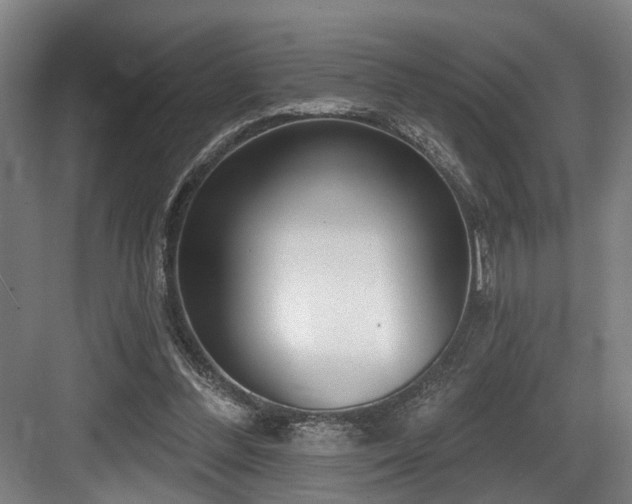 X0000083990300200702161139