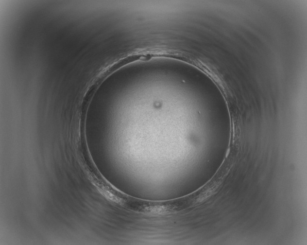 X0000083990301200702161139