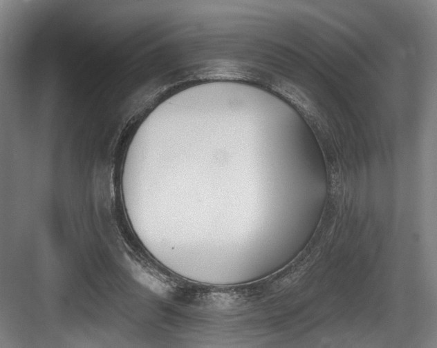 X0000083990302200702161139