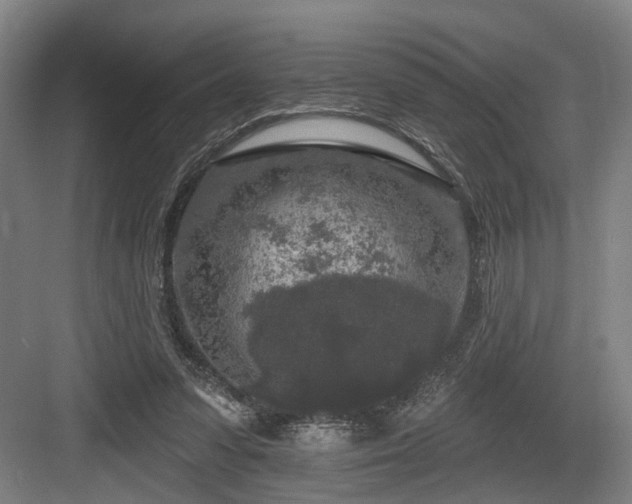 X0000083990303200702161139